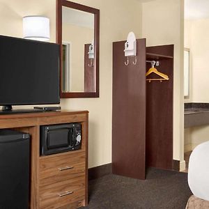 Single Queen Room